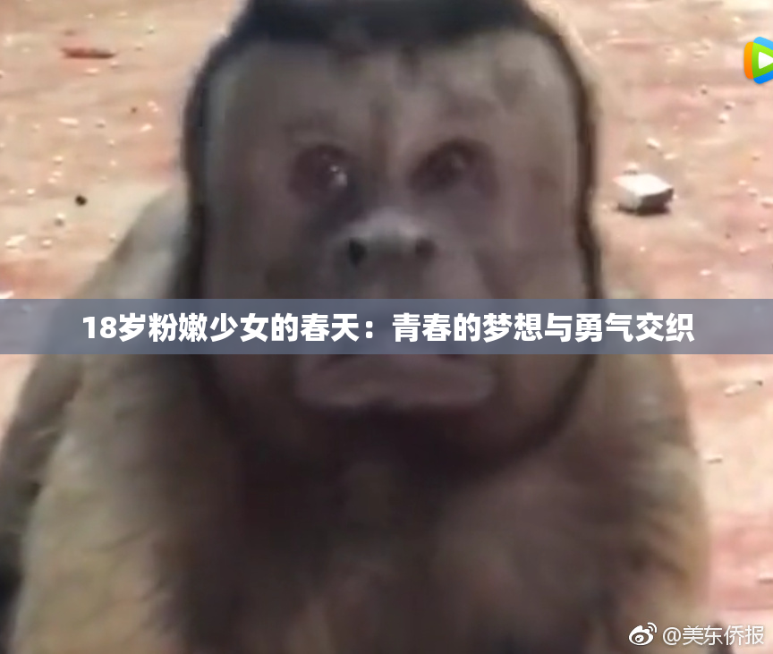 18岁粉嫩少女的春天：青春的梦想与勇气交织