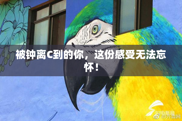 被钟离C到的你，这份感受无法忘怀！