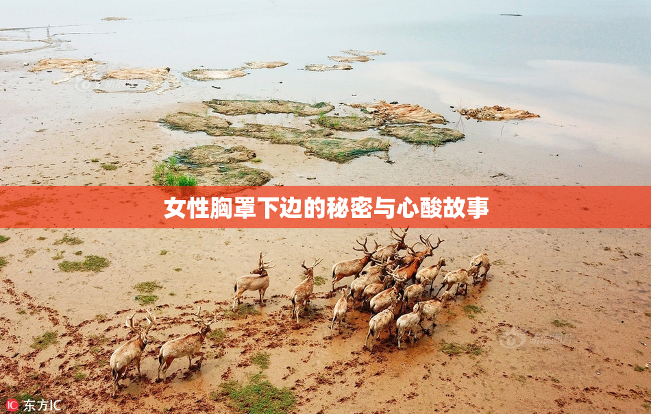 女性胸罩下边的秘密与心酸故事