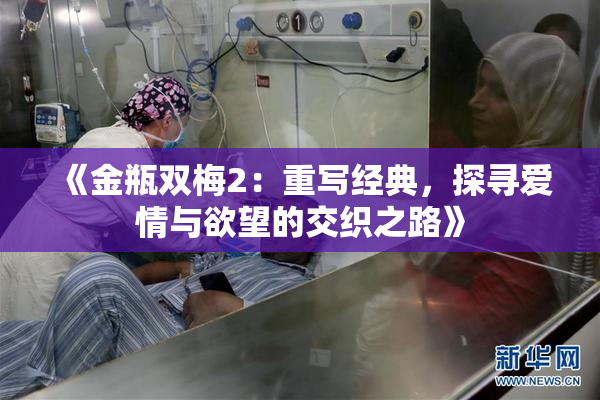 《金瓶双梅2：重写经典，探寻爱情与欲望的交织之路》