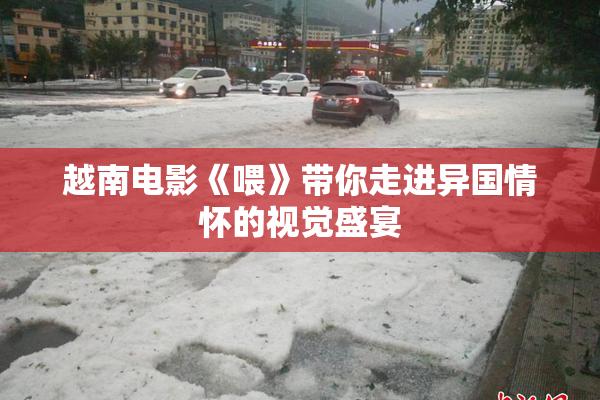 越南电影《喂》带你走进异国情怀的视觉盛宴