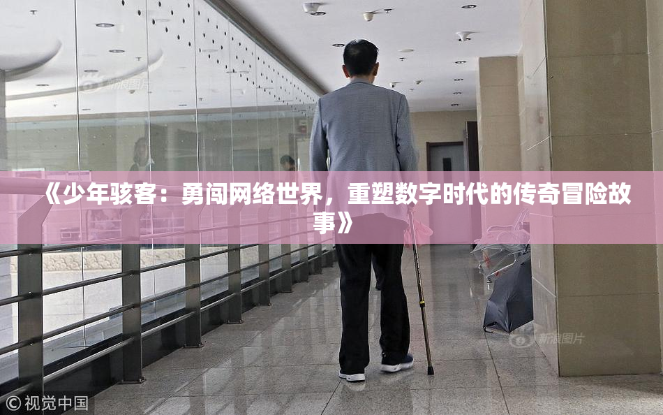 《少年骇客：勇闯网络世界，重塑数字时代的传奇冒险故事》