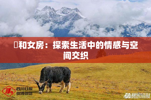 巜和女房：探索生活中的情感与空间交织