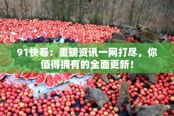 91快看：重磅资讯一网打尽，你值得拥有的全面更新！