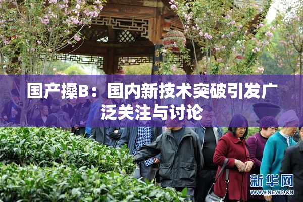 国产搡B：国内新技术突破引发广泛关注与讨论