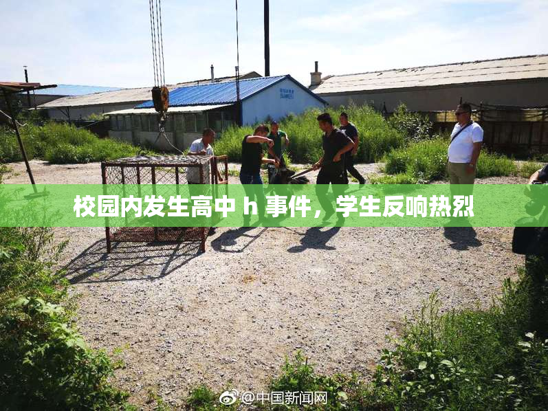 校园内发生高中 h 事件，学生反响热烈