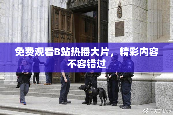 免费观看B站热播大片，精彩内容不容错过