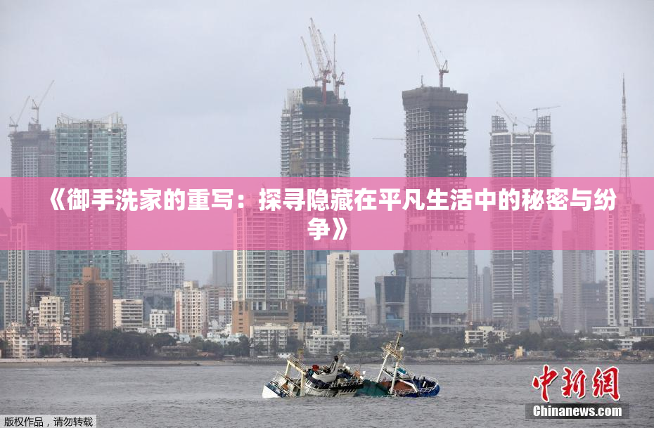 《御手洗家的重写：探寻隐藏在平凡生活中的秘密与纷争》