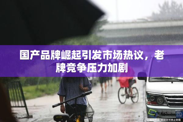 国产品牌崛起引发市场热议，老牌竞争压力加剧