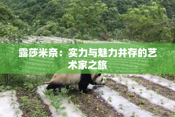 露莎米奈：实力与魅力并存的艺术家之旅