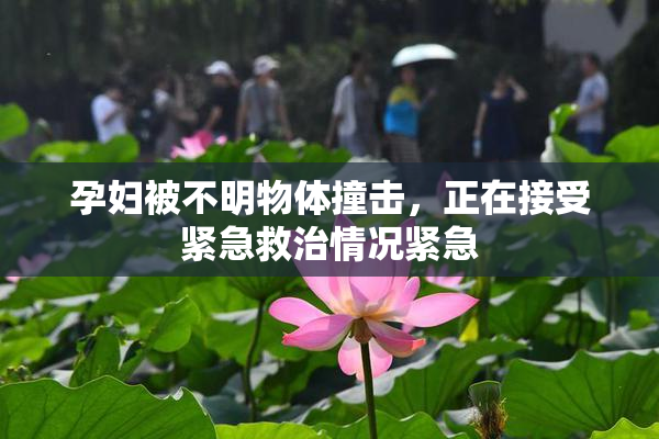 孕妇被不明物体撞击，正在接受紧急救治情况紧急