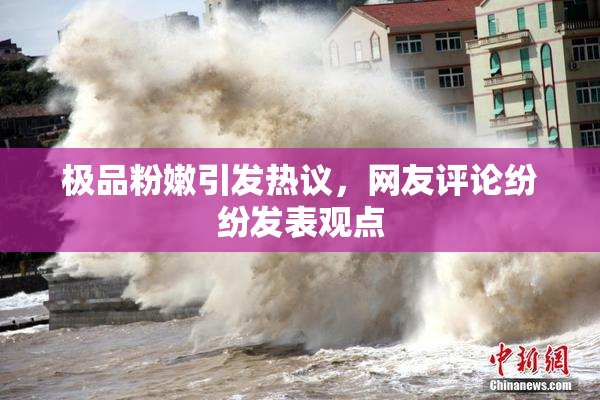 极品粉嫩引发热议，网友评论纷纷发表观点