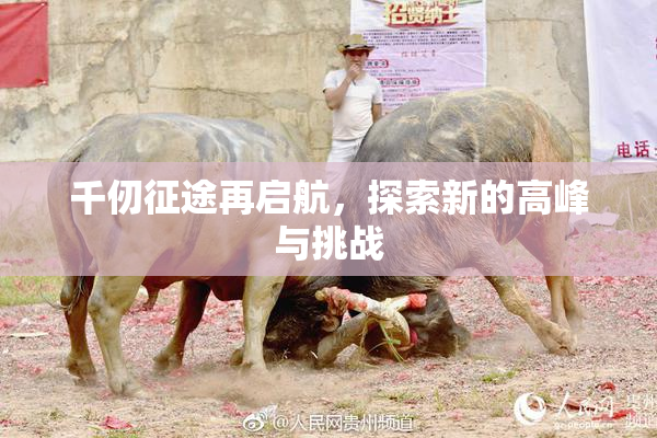 千仞征途再启航，探索新的高峰与挑战