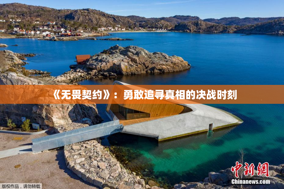 《无畏契约》：勇敢追寻真相的决战时刻