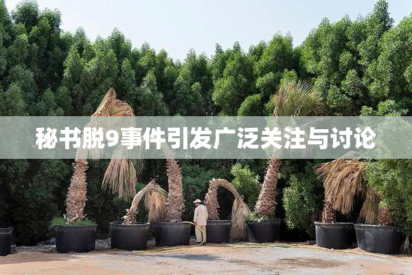秘书脱9事件引发广泛关注与讨论