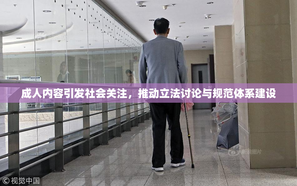 成人内容引发社会关注，推动立法讨论与规范体系建设