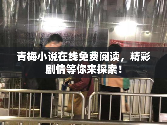 青梅小说在线免费阅读，精彩剧情等你来探索！