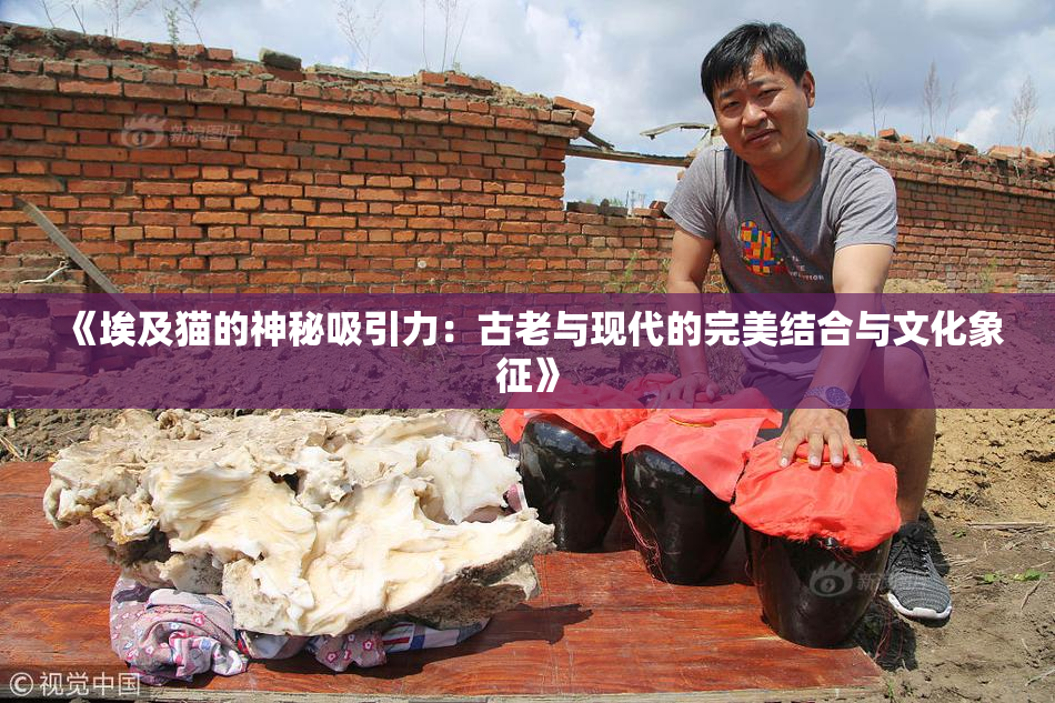 《埃及猫的神秘吸引力：古老与现代的完美结合与文化象征》