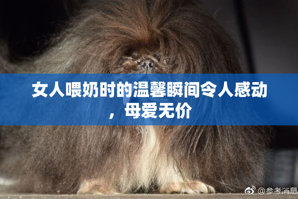 女人喂奶时的温馨瞬间令人感动，母爱无价