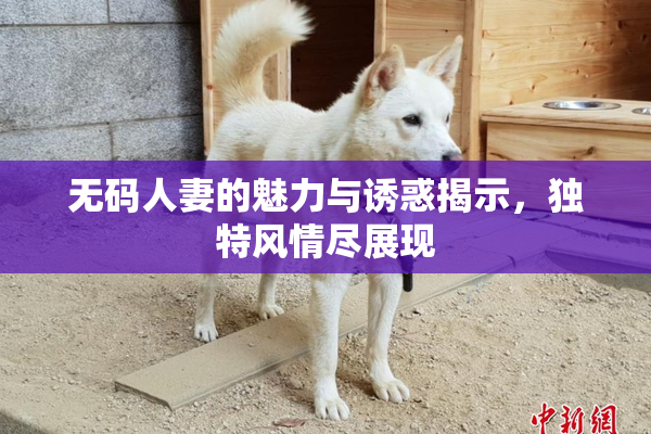 无码人妻的魅力与诱惑揭示，独特风情尽展现