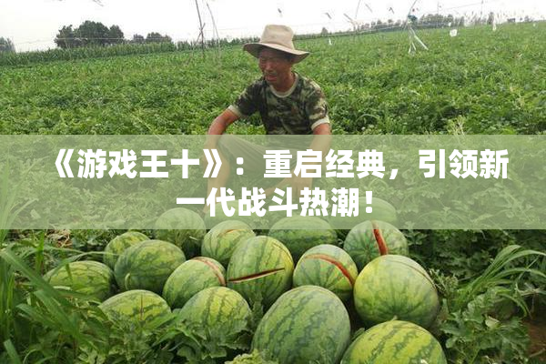 《游戏王十》：重启经典，引领新一代战斗热潮！