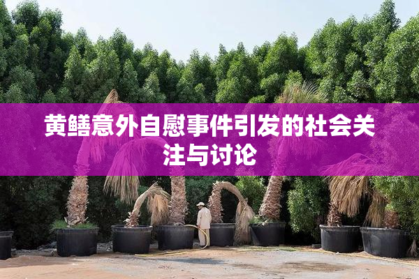 黄鳝意外自慰事件引发的社会关注与讨论
