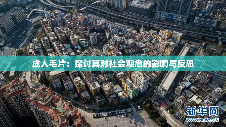 成人毛片：探讨其对社会观念的影响与反思