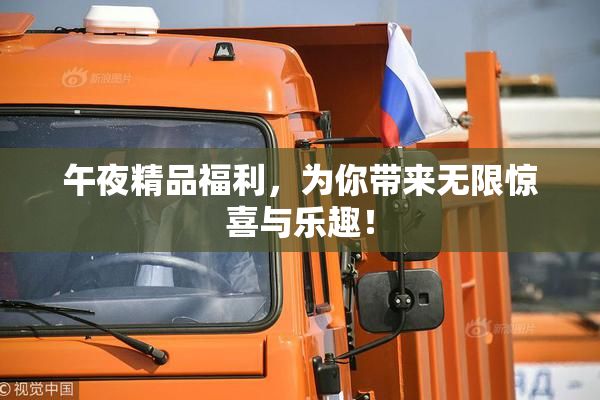 午夜精品福利，为你带来无限惊喜与乐趣！