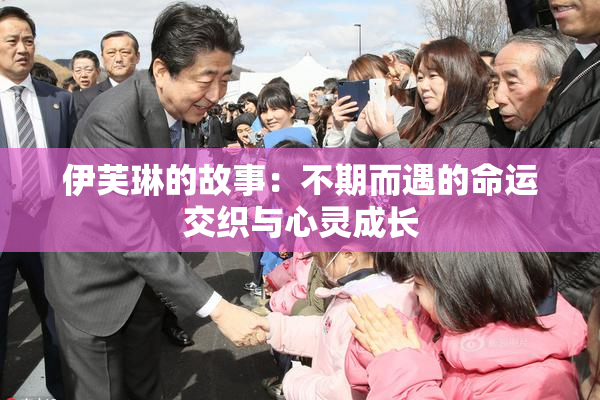 伊芙琳的故事：不期而遇的命运交织与心灵成长