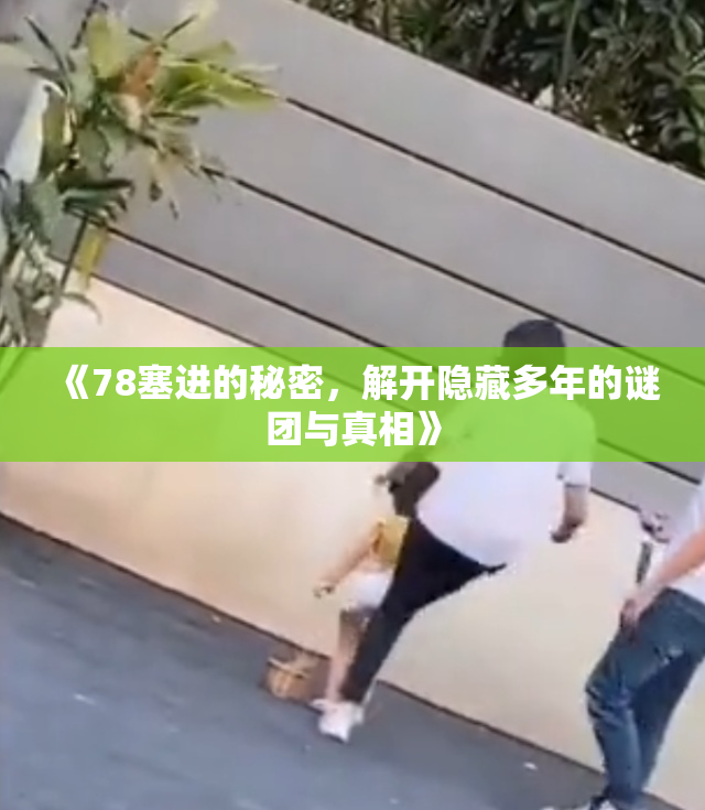 《78塞进的秘密，解开隐藏多年的谜团与真相》
