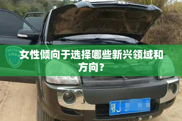 女性倾向于选择哪些新兴领域和方向？