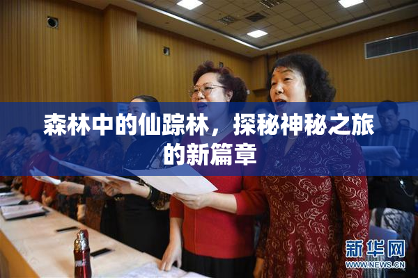 森林中的仙踪林，探秘神秘之旅的新篇章