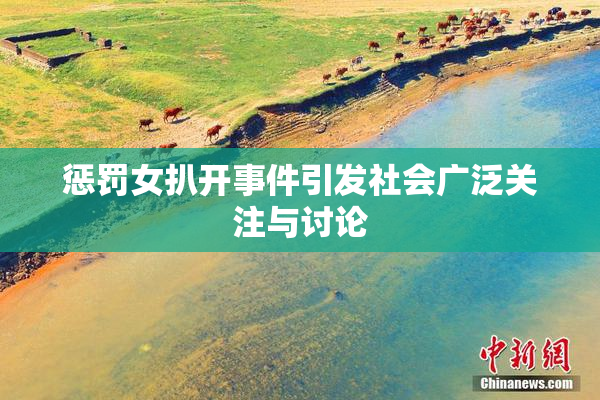 惩罚女扒开事件引发社会广泛关注与讨论