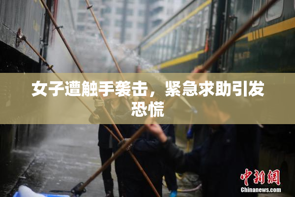 女子遭触手袭击，紧急求助引发恐慌