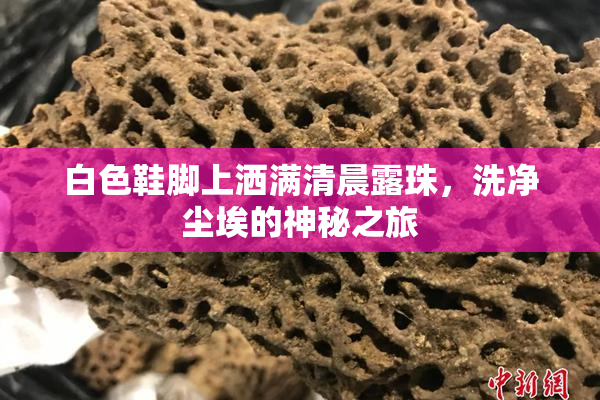 白色鞋脚上洒满清晨露珠，洗净尘埃的神秘之旅