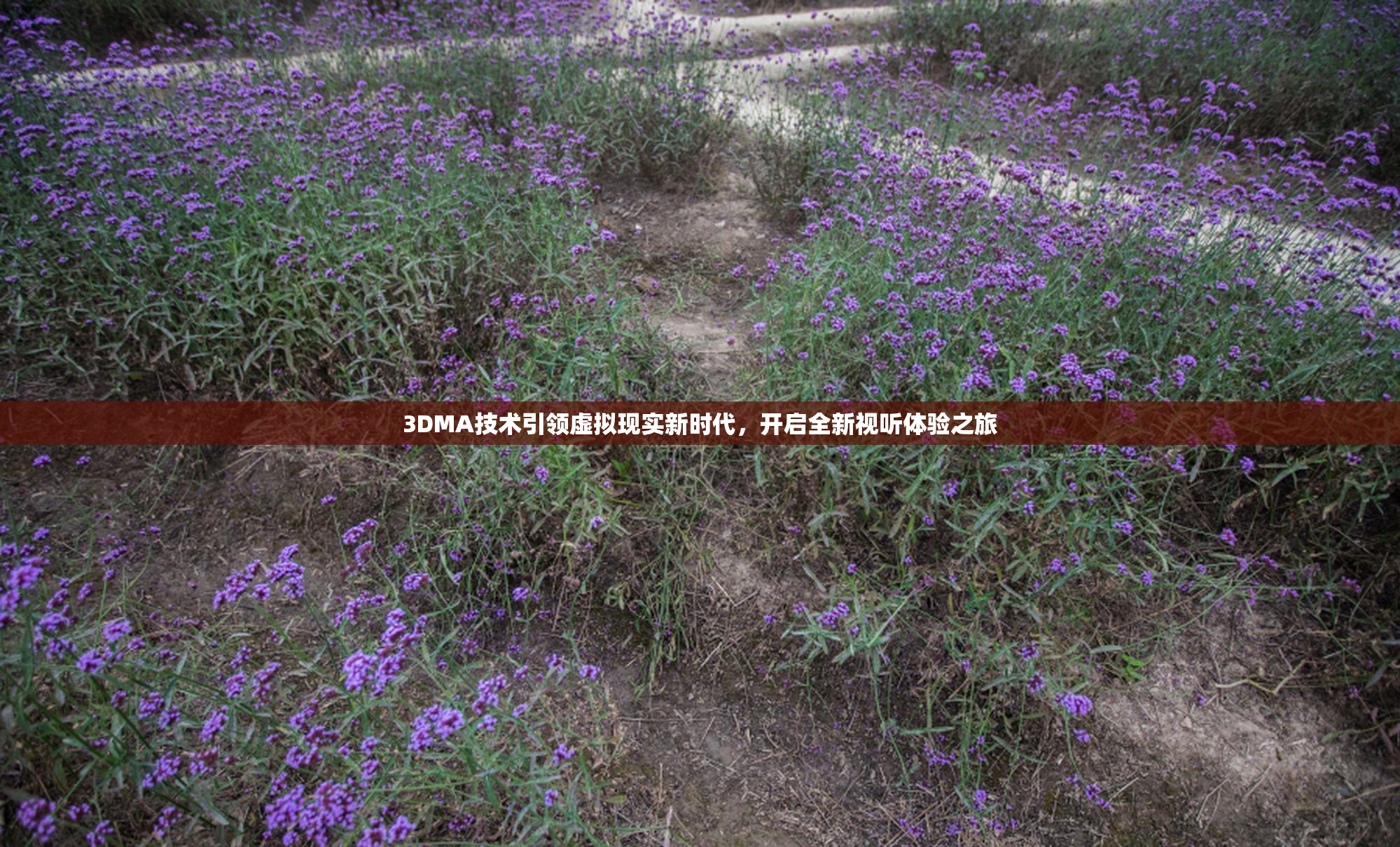 3DMA技术引领虚拟现实新时代，开启全新视听体验之旅