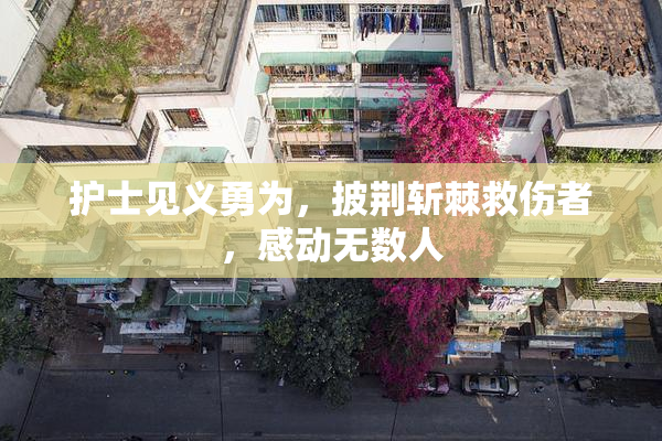 护士见义勇为，披荆斩棘救伤者，感动无数人