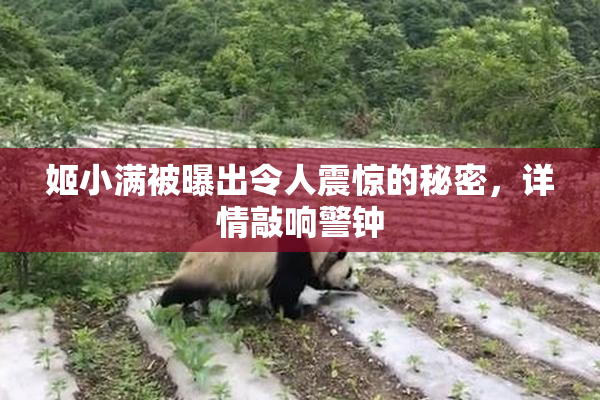 姬小满被曝出令人震惊的秘密，详情敲响警钟