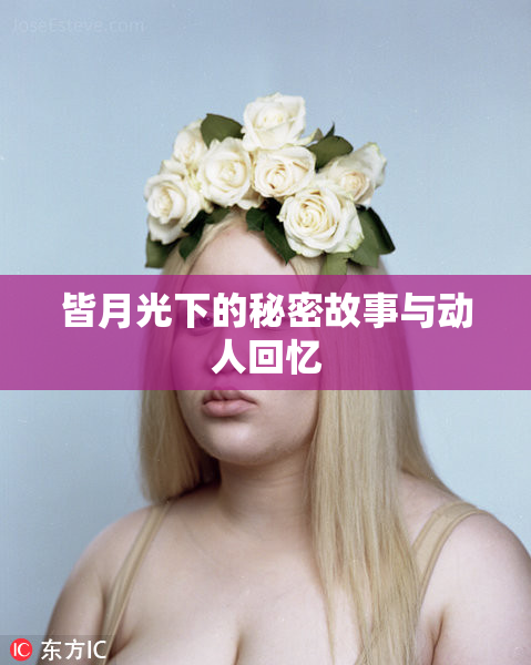 皆月光下的秘密故事与动人回忆