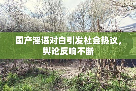 国产淫语对白引发社会热议，舆论反响不断