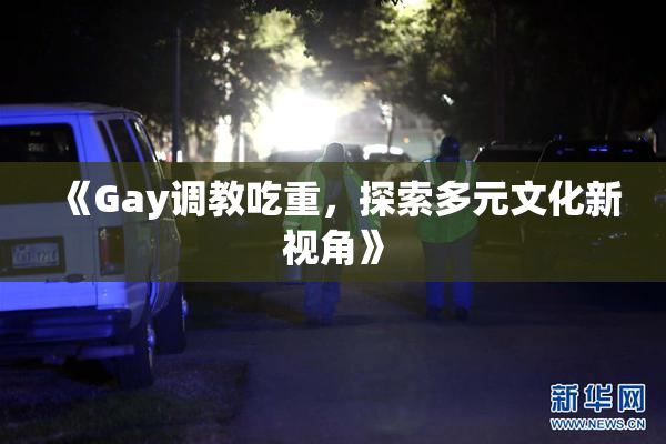 《Gay调教吃重，探索多元文化新视角》