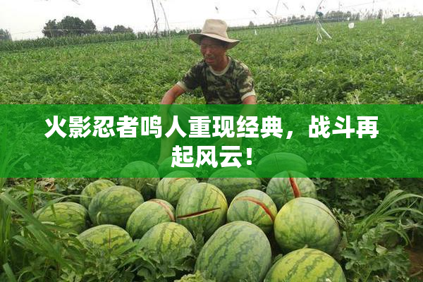 火影忍者鸣人重现经典，战斗再起风云！