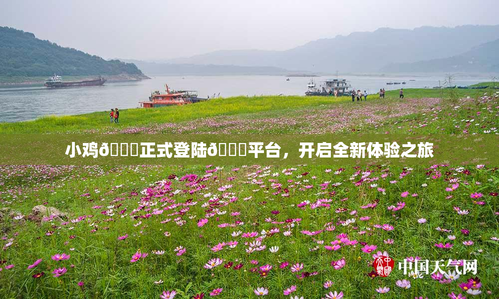 小鸡🐔正式登陆🍑平台，开启全新体验之旅