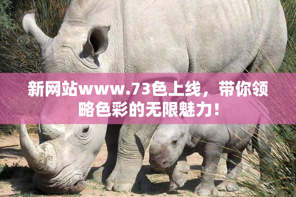 新网站www.73色上线，带你领略色彩的无限魅力！