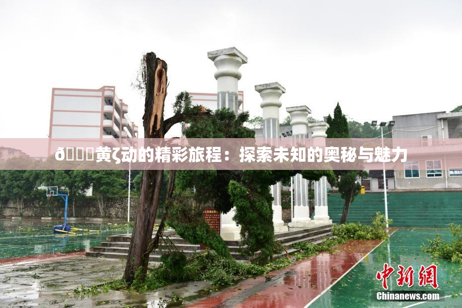 🔞黄ζ动的精彩旅程：探索未知的奥秘与魅力