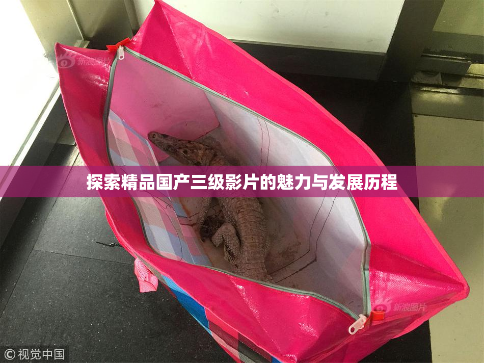 探索精品国产三级影片的魅力与发展历程