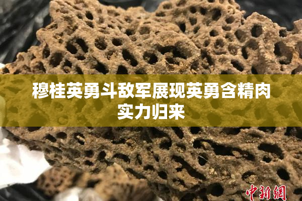 穆桂英勇斗敌军展现英勇含精肉实力归来