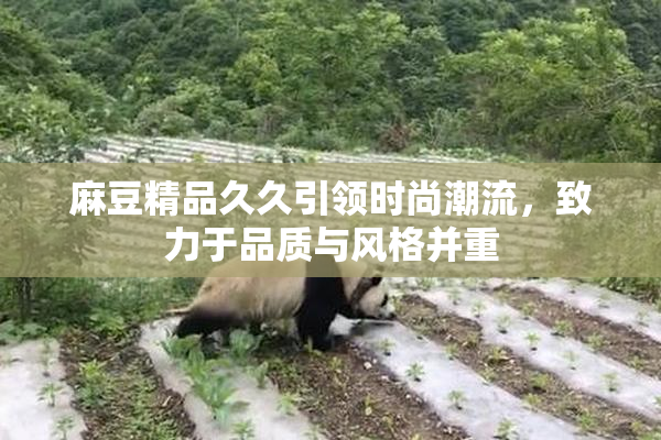麻豆精品久久引领时尚潮流，致力于品质与风格并重