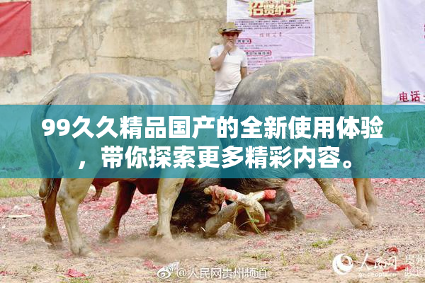 99久久精品国产的全新使用体验，带你探索更多精彩内容。