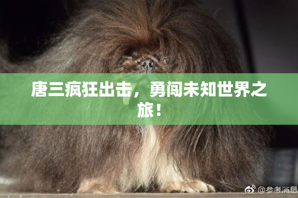 唐三疯狂出击，勇闯未知世界之旅！